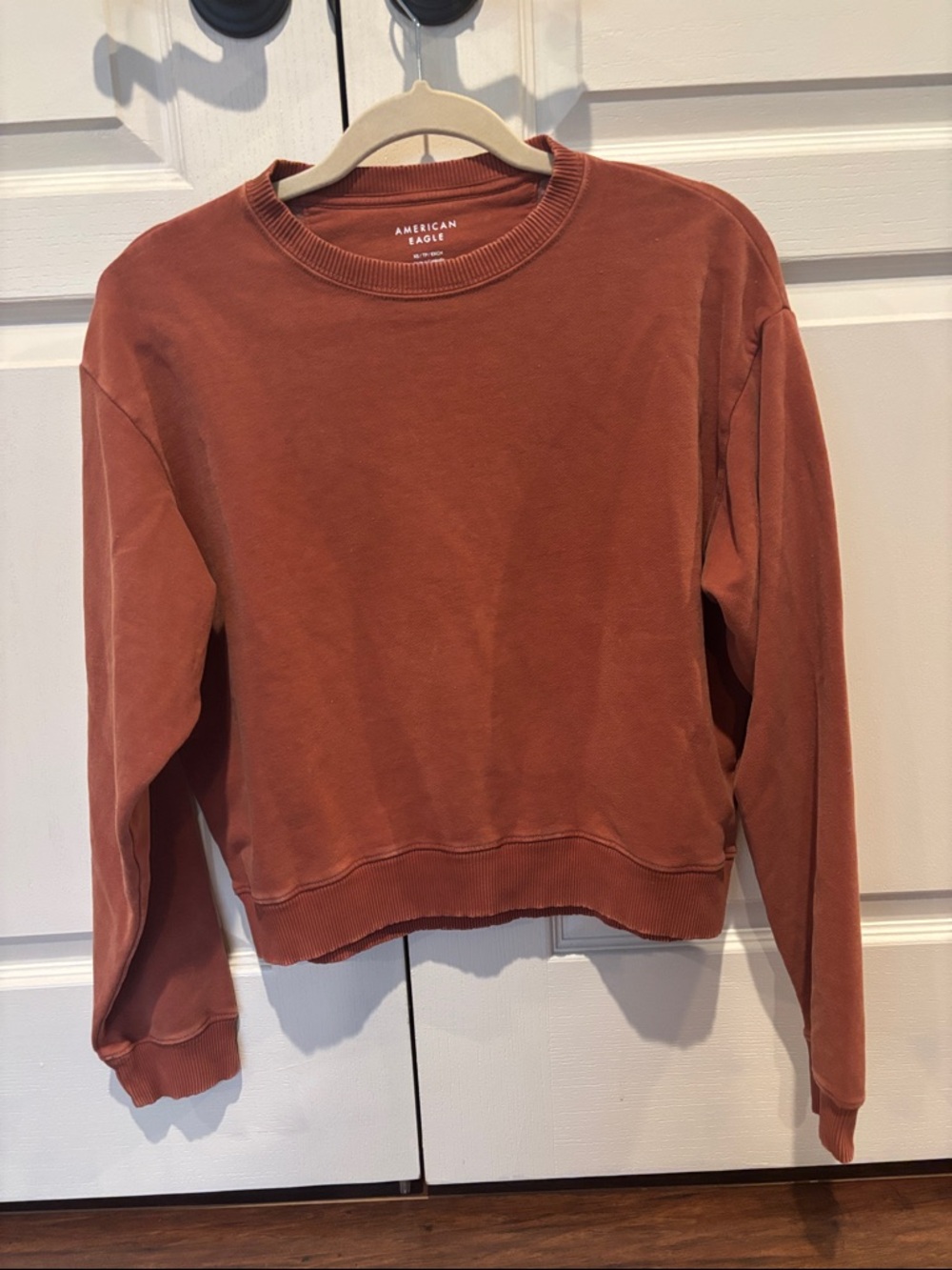 American Eagle Outfitters Rust Cropped Crewneck Sweatshirt